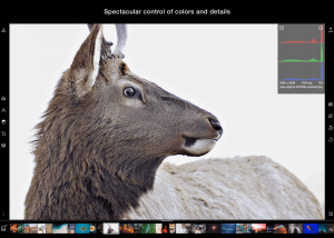 software - Polarr Photo Editor 5.0 screenshot