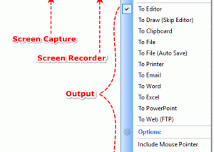 software - Portable FastStone Capture 10.5 screenshot