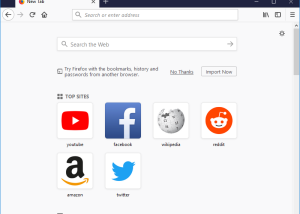 software - Portable Firefox 126.0.1 screenshot