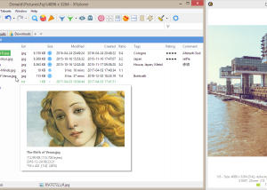 software - Portable XYplorer 26.00.0300 screenshot
