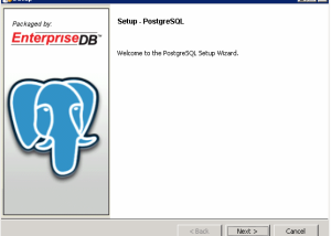 software - PostgreSQL 16.3 screenshot