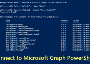 software - PowerShell 7.4.5 screenshot