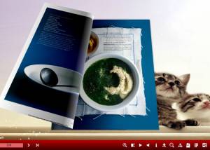 Pretty Cat Templates for 3D Flip Book screenshot