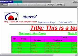 software - Print Preview ActiveX Control 1.40 screenshot