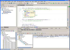 software - Productivity! Professional for JBuilder 2.5 screenshot