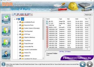 software - Professional File Recovery Software 4.1 screenshot