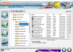 software - Professional File Restoration Tool 1.6 screenshot