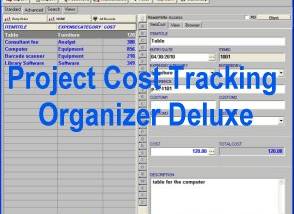 software - Project Cost Tracking Organizer Deluxe 4.11 screenshot