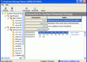 Protected Storage viewer screenshot