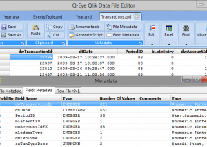 Q-Eye Portable QVD/QVX files Editor screenshot