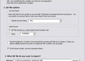 software - QIF to IIF Converter 11.98 screenshot