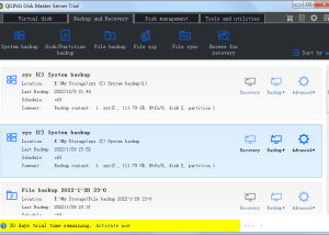 QILING Disk Master Server screenshot