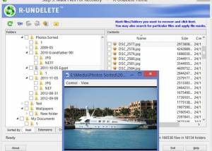 R-UNDELETE Home screenshot