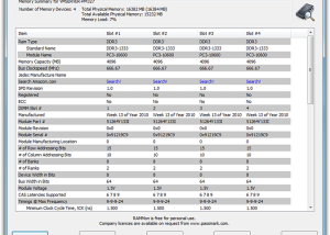 software - RAMMon 3.3 Build 1000 screenshot