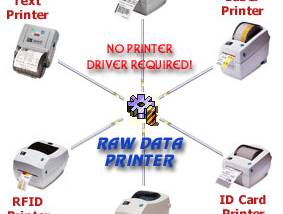 Raw Data Printer Component screenshot