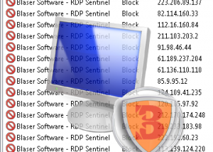 software - RDP Sentinel 1.0 screenshot