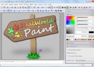 RealWorld Paint screenshot