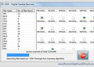 Recover Data from Digital Camera screenshot