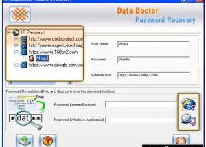 Recover Internet Explorer Password screenshot