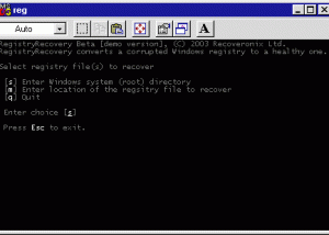 Recovery for Windows Registry screenshot