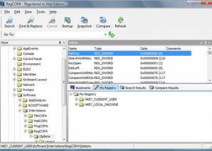 RegCOPA Registry Editor screenshot