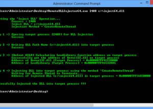 software - Remote DLL Injector 2.1 screenshot