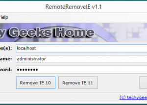 software - RemoteRemoveIE 1.1 screenshot
