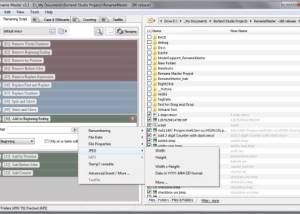 software - Rename Master 3.16 screenshot