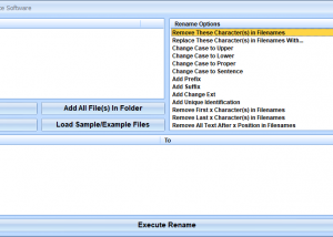 software - Rename Multiple Files At Once Software 7.0 screenshot