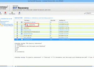 software - Repair Corrupt BKF File 6.0 screenshot