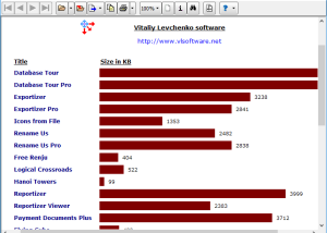 software - Reportizer Viewer 6.3.3.44 screenshot