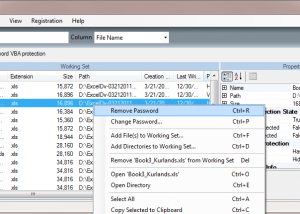 software - Reset VBA Password 6.17.01.08 screenshot