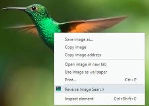 software - Reverse Image Search for Firefox 4.3.1 screenshot