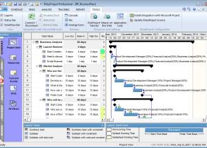 software - RiskyProject Professional 7.2.4.7 screenshot