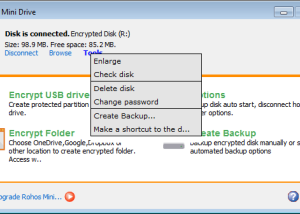 software - Rohos Mini Drive 3.0 screenshot
