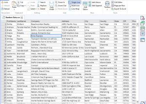 software - Rons Data Edit - Professional CSV Editor for Windows 2024.05.15.1304 screenshot