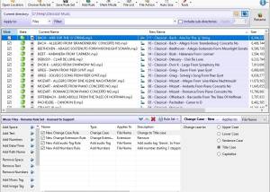 Rons Renamer - Batch File Renamer screenshot