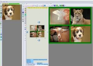 software - S_Merge 1.8 screenshot