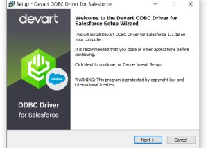 software - Salesforce ODBC Driver by Devart 3.4.2 screenshot