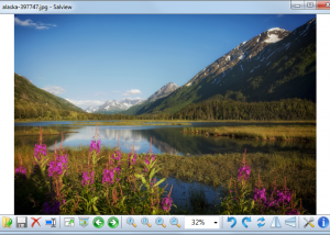 software - Salview 2.3 screenshot