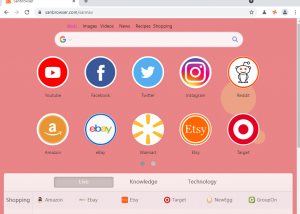 software - Sanbrowser 92.0.4482.0 screenshot