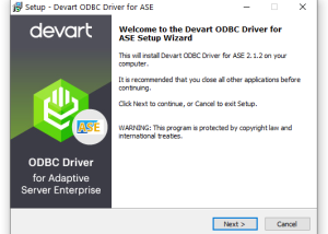 ASE ODBC Driver by Devart screenshot