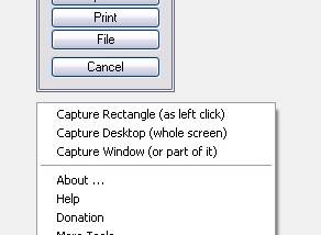 software - Screen Capture + Print 1.34 screenshot