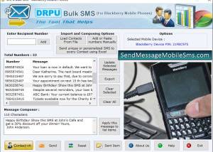 software - Send SMS from Blackberry 8.2.1.0 screenshot