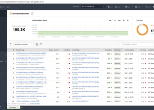 SEO SpyGlass Professional screenshot