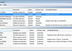 software - Service Hawk 3.1 screenshot