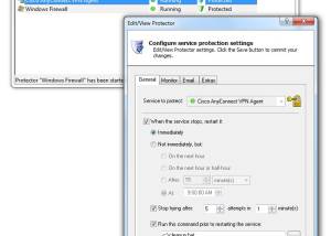 software - Service Protector 10.0 screenshot