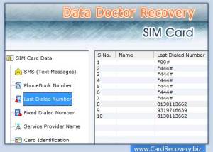 software - Sim Card Recovery 6.3.1.2 screenshot