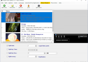 software - Simple Video Splitter 2.6 screenshot