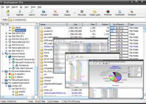 software - SizeExplorer Pro 4.13 screenshot